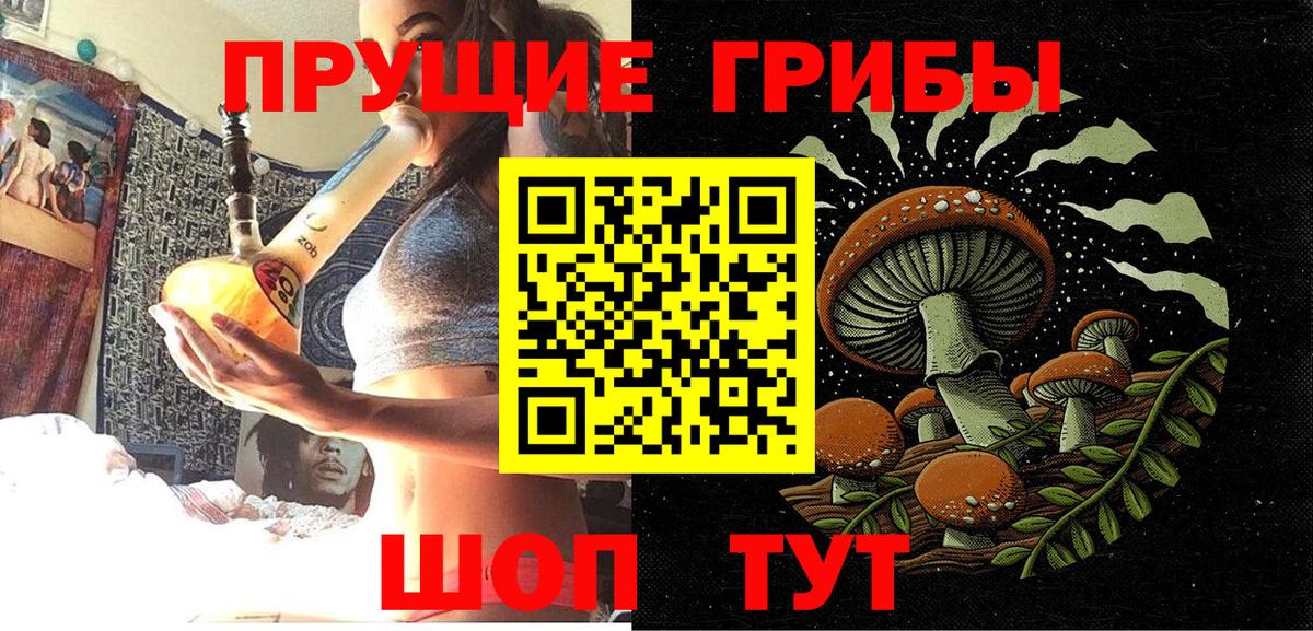 Ишим  Галлюциногенные грибы Cubensis  Вход с VPN  Псилоцибиновые грибы мухоморы 