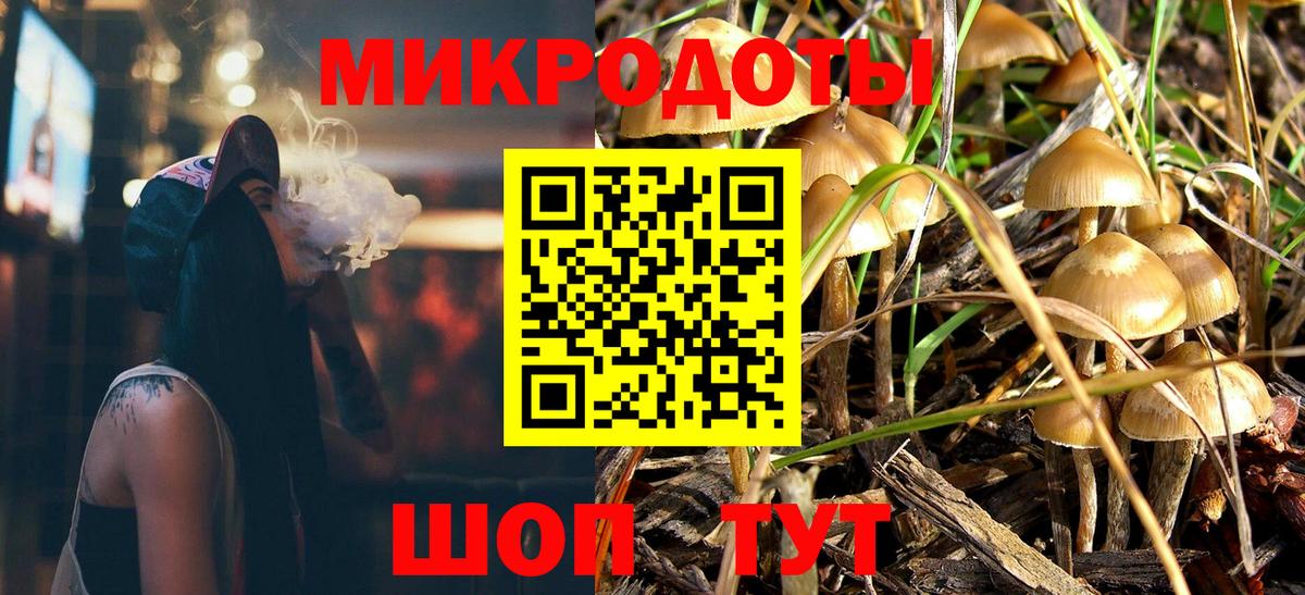 Псилоцибиновые грибы Psilocybe Ишим